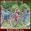 Bikes for everyone in the family